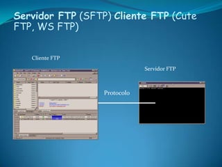 Servidor FTP (SFTP) Cliente FTP (Cute
FTP, WS FTP)


   Cliente FTP
                              Servidor FTP



                  Protocolo
 