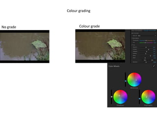 Colour grading
Colour gradeNo grade
 