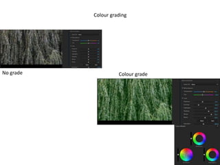 Colour grading
No grade Colour grade
 