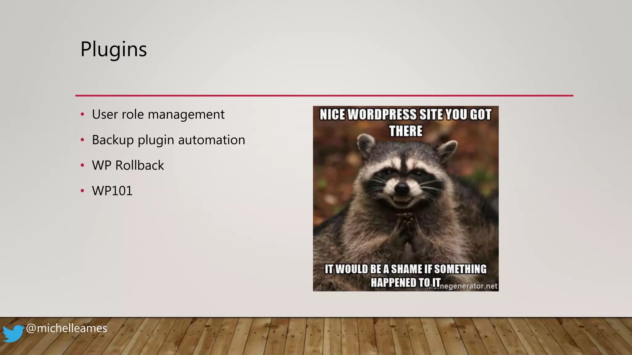 Plugins
• User role management
• Backup plugin automation
• WP Rollback
• WP101
@michelleames
 