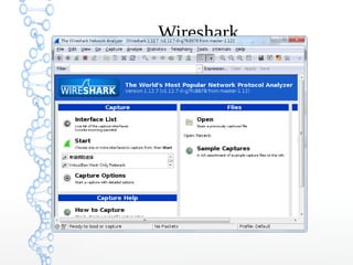 Wireshark
 