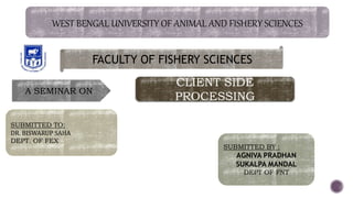 WEST BENGAL UNIVERSITY OF ANIMAL AND FISHERY SCIENCES
FACULTY OF FISHERY SCIENCES
A SEMINAR ON
CLIENT SIDE
PROCESSING
SUBMITTED TO:
DR. BISWARUP SAHA
DEPT. OF FEX
SUBMITTED BY :
AGNIVA PRADHAN
SUKALPA MANDAL
DEPT OF FNT
 