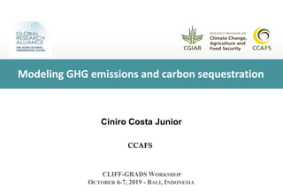 Ciniro Costa Junior
CCAFS
CLIFF-GRADS WORKSHOP
OCTOBER 6-7, 2019 - BALI, INDONESIA
Modeling GHG emissions and carbon sequestration
 