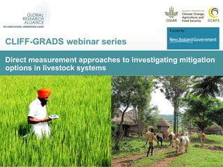 Direct measurement approaches to investigating mitigation
options in livestock systems
CLIFF-GRADS webinar series
 
