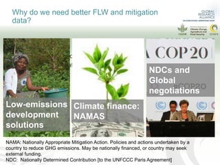 CLIFF-GRADS webinar series session 3: Mitigating climate change through reduced food loss and waste.