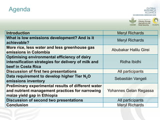 2019 CLIFF-GRADS Webinar Series - Using modeling, life cycle assessment, and trade-off analysis to understand low emissions development options
