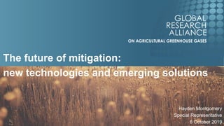 The future of mitigation:
new technologies and emerging solutions
Hayden Montgomery
Special Representative
6 October 2019
 