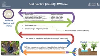 The future of mitigation: new technologies and emerging solutions