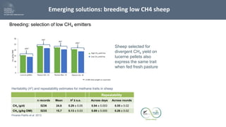 The future of mitigation: new technologies and emerging solutions
