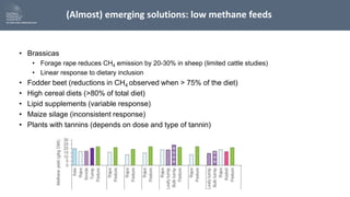 The future of mitigation: new technologies and emerging solutions