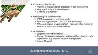 The future of mitigation: new technologies and emerging solutions