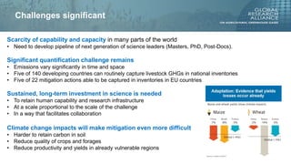 The future of mitigation: new technologies and emerging solutions