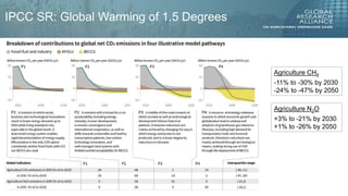 The future of mitigation: new technologies and emerging solutions