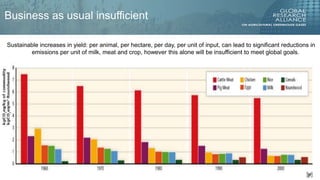 The future of mitigation: new technologies and emerging solutions