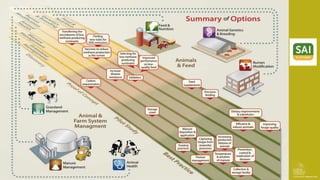 The future of mitigation: new technologies and emerging solutions