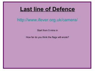 Last line of Defence
http://www.ifever.org.uk/camera/

              Start from 5 mins in

    How far do you think the flags will erode?
 