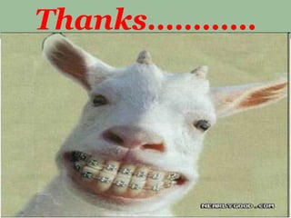 Thanks…………

 