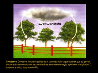 Convectiva: Ocorre em função da subida do ar contendo muito vapor d`água e que ao ganhar
altitude entra em contato com as camadas frias e sofre condensação e posterior precipitação. O
ar quente e úmido sobe e desce frio.
EVAPOTRANSPIRAÇÃO
 