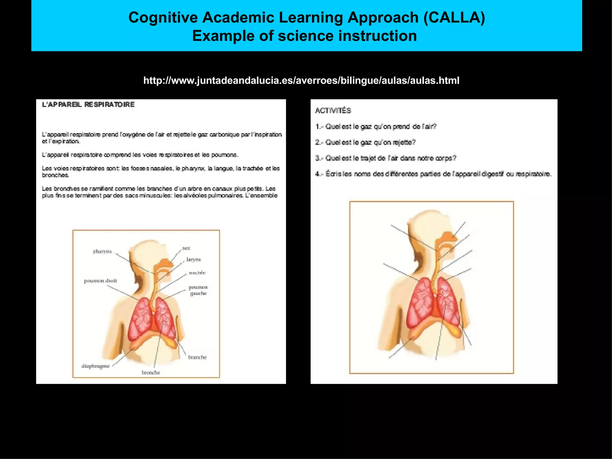 Cognitive Academic Learning Approach (CALLA) Example of science instruction   http://www.juntadeandalucia.es/averroes/bilingue/aulas/aulas.html 