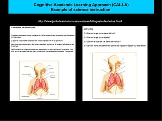 Cognitive Academic Learning Approach (CALLA) Example of science instruction   http://www.juntadeandalucia.es/averroes/bilingue/aulas/aulas.html 