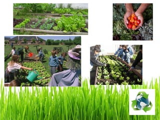 "Helping the environment"- CLIL Interactive Power Point