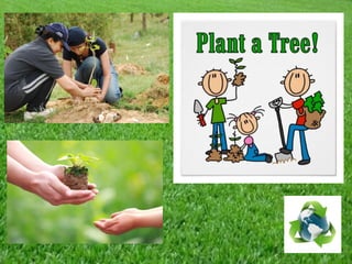 "Helping the environment"- CLIL Interactive Power Point