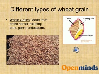 Different types of wheat grain
• Whole Grains: Made from
entire kernel including
bran, germ, endosperm.
 
