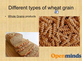 Different types of wheat grain
• Whole Grains products
 
