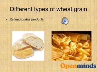 Different types of wheat grain
• Refined grains products
 