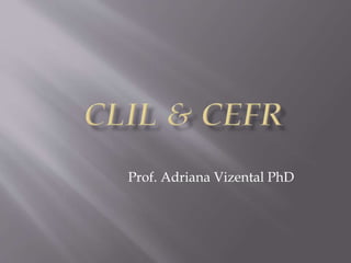 Prof. Adriana Vizental PhD
 