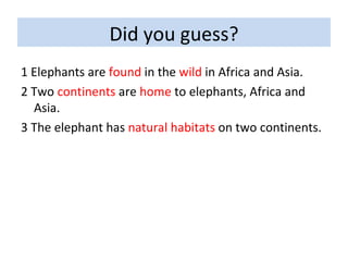 Did you guess? 1 Elephants are  found  in the  wild  in Africa and Asia. 2 Two  continents  are  home  to elephants, Africa and Asia. 3 The elephant has  natural habitats  on two continents. 