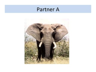 Partner A 