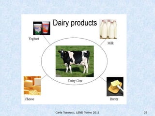 Carla Tosoratti, LEND Torino 2011   29
 