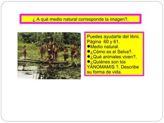 ¿ A qué medio natural corresponde la imagen?. Puedes ayudarte del libro. Página  60 y 61. Medio natural. ¿Cómo es el Selva?. ¿Qué animales viven?. ¿Quiénes son los YANOMAMIS ?. Describe su forma de vida. 