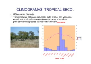 CLIMOGRAMAS: TROPICAL SECO.
• Sólo un mes húmedo.
• Temperaturas cálidas o calurosas todo el año, con variación
  estacional por localizarse en zonas cercanas a las altas
  presiones subtropicales y a los climas desérticos.(PAKISTAN).
                                                 Karachi

                                   45                                                                                      90

                                   40                                                                                      80

                                   35                                                                                      70

                                   30                                                                                      60

                                   25                                                                                      50
                                                                                                                                       Pmm




                                                                                                                                Pm m
                                T ºC
                                                                                                                                       TºC
                                   20                                                                                      40

                                   15                                                                                      30

                                   10                                                                                      20

                                       5                                                                                   10

                                       0                                                                                   0
                                                                L

                                                                      YO



                                                                                       L IO
                                                                                O
                                                           O
                                            O




                                                                                                  TO
                                                                RI




                                                                                                                       E
                                                     O




                                                                                                                       E
                                                                             NI




                                                                                                                      E
                                                         RZ




                                                                                                            OC RE
                                           ER




                                                                                                                    BR




                                                                                                                    BR
                                                 ER




                                                                     MA




                                                                                                                   BR
                                                               AB




                                                                                      JU

                                                                                               OS
                                                                           JU
                                                      MA




                                                                                                                  MB
                                       EN




                                                                                                                 TU
                                                BR




                                                                                                                 EM
                                                                                                                EM
                                                                                            AG

                                                                                                       IE
                                            FE




                                                                                                              CI
                                                                                                             VI
                                                                                                    PT




                                                                                                           DI
                                                                                                          NO
                                                                                                 SE
                                                                          24ºN 60ºE        4 m. altitud
 