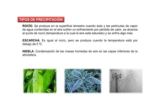 TIPOS DE PRECIPITACIÓN
 ROCÍO. Se produce en la superficie terrestre cuando ésta y las partículas de vapor
 de agua contenidas en el aire sufren un enfriamiento por pérdida de calor, se alcanza
 el punto de rocío (temperatura a la cual el aire está saturado) y se enfría algo más.

 ESCARCHA. Es igual al rocío, pero se produce cuando la temperatura está por
 debajo de 0 °
             C.

 NIEBLA. Condensación de las masas húmedas de aire en las capas inferiores de la
 atmósfera.
 