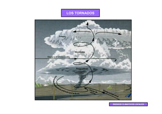 LOS TORNADOS




               RIESGOS CLIMATICOS LOCALES
 