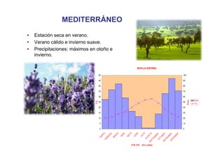 MEDITERRÁNEO
•   Estación seca en verano.
•   Verano cálido e invierno suave.
•   Precipitaciones: máximos en otoño e
    invierno.

                                                                                         SEVILLA (ESPAÑA)

                                      50                                                                                                            100

                                      45                                                                                                            90

                                      40                                                                                                            80

                                      35                                                                                                            70

                                      30                                                                                                            60
                                                                                                                                                                 Pmm




                                                                                                                                                          Pm m
                               T ºC

                                      25                                                                                                            50
                                                                                                                                                                 TºC
                                      20                                                                                                            40

                                      15                                                                                                            30

                                      10                                                                                                            20

                                      5                                                                                                             10

                                      0                                                                                                             0
                                                                                O
                                                                        L




                                                                                         O


                                                                                                  O
                                                              ZO
                                            O




                                                                                                        TO




                                                                                                                             E




                                                                                                                                                E
                                                      O




                                                                                                                                       E
                                                                                                                    E
                                                                    RI




                                                                                     NI


                                                                                              LI
                                                                            AY
                                           ER




                                                                                                                         BR




                                                                                                                                             BR
                                                                                                                                   BR
                                                     ER




                                                                                                                  BR
                                                          AR

                                                                   AB




                                                                                             JU


                                                                                                      OS
                                                                                    JU
                                                                            M
                                      EN




                                                                                                                                           EM
                                                                                                                        TU


                                                                                                                                  EM
                                                 BR




                                                                                                                M
                                                          M




                                                                                                   AG


                                                                                                             IE

                                                                                                                    OC




                                                                                                                                        CI
                                                FE




                                                                                                                              VI
                                                                                                           PT




                                                                                                                                       DI
                                                                                                                             NO
                                                                                                        SE
                                                                                 37ºN 5ºO     30 m. altitud
 