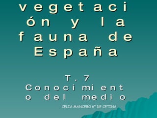 El clima la vegetación y la fauna de España T.7 Conocimiento del medio CELIA MANCEBO 6º DE CETINA 