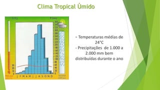 Clima Tropical Úmido
- Temperaturas médias de
24°C
- Precipitações de 1.000 a
2.000 mm bem
distribuídas durante o ano
 