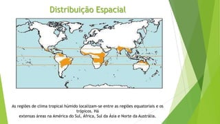 Distribuição Espacial
As regiões de clima tropical húmido localizam-se entre as regiões equatoriais e os
trópicos. Há
extensas áreas na América do Sul, África, Sul da Ásia e Norte da Austrália.
 