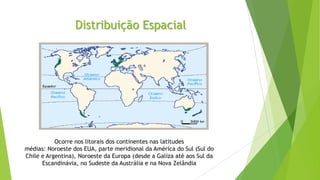 Distribuição Espacial
Ocorre nos litorais dos continentes nas latitudes
médias: Noroeste dos EUA, parte meridional da América do Sul (Sul do
Chile e Argentina), Noroeste da Europa (desde a Galiza até aos Sul da
Escandinávia, no Sudeste da Austrália e na Nova Zelândia
 