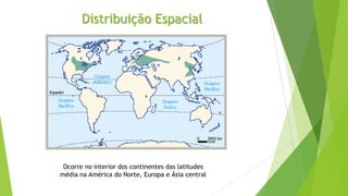 Distribuição Espacial
Ocorre no interior dos continentes das latitudes
média na América do Norte, Europa e Ásia central
 