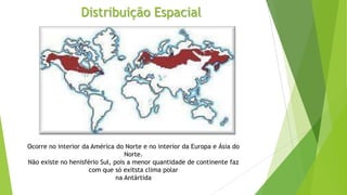 Distribuição Espacial
Ocorre no interior da América do Norte e no interior da Europa e Ásia do
Norte.
Não existe no henisfério Sul, pois a menor quantidade de continente faz
com que só exitsta clima polar
na Antártida
 