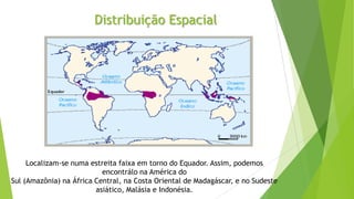 Distribuição Espacial
As regiões de clima tropical húmido localizam-se entre as regiões equatoriais e os
trópicos. Há
exte...