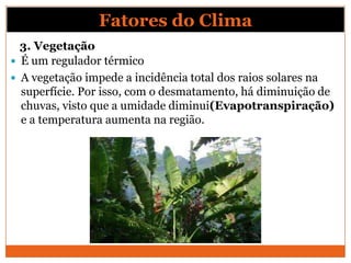 3. Vegetação
 É um regulador térmico
 A vegetação impede a incidência total dos raios solares na
superfície. Por isso, com o desmatamento, há diminuição de
chuvas, visto que a umidade diminui(Evapotranspiração)
e a temperatura aumenta na região.
Fatores do Clima
 