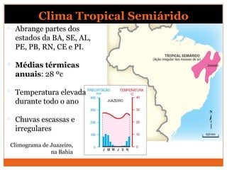 Clima Tropical Semiárido
 Abrange partes dos
estados da BA, SE, AL,
PE, PB, RN, CE e PI.
 Médias térmicas
anuais: 28 ºc
 Temperatura elevada
durante todo o ano
 Chuvas escassas e
irregulares
Climograma de Juazeiro,
na Bahia
 