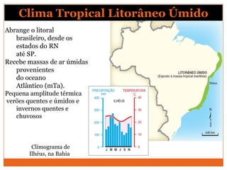 Clima Tropical Litorâneo Úmido
Abrange o litoral
brasileiro, desde os
estados do RN
até SP.
Recebe massas de ar úmidas
provenientes
do oceano
Atlântico (mTa).
Pequena amplitude térmica
verões quentes e úmidos e
invernos quentes e
chuvosos
Climograma de
Ilhéus, na Bahia
 