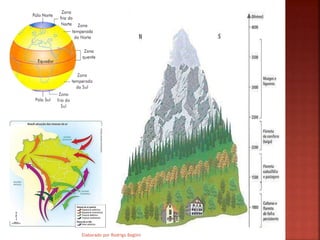 Elaborado por Rodrigo Baglini