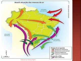 Elaborado por Rodrigo Baglini